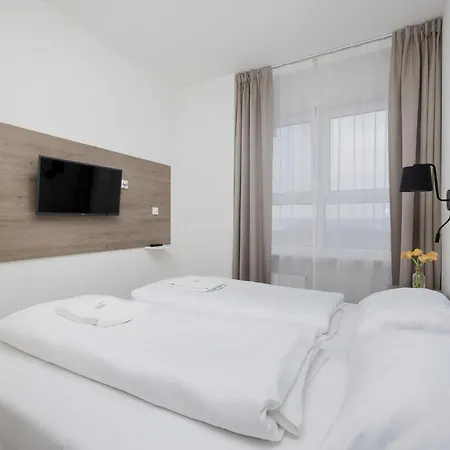 Aquamarina Onyx By Renters *